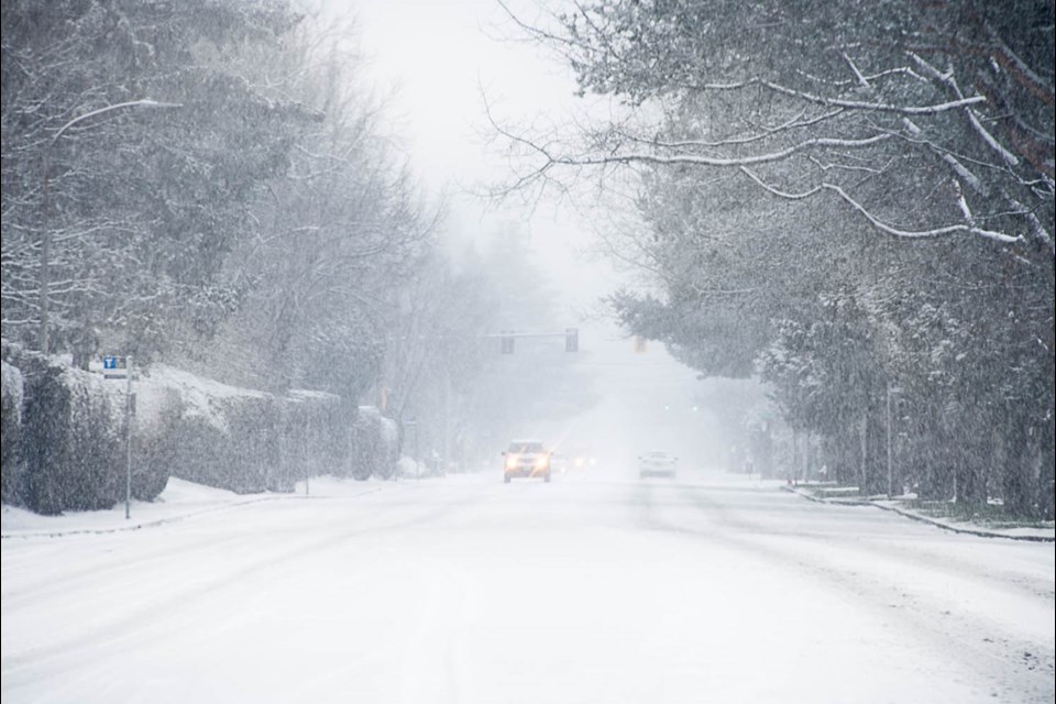 Richmond was blanketed in snow on Saturday, and readers captured photos of the winter weather. Alice Li said she captured this photo of the first snow in the Year of the Ox this morning on Gilbert Road.